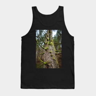 Pine tree with mossy branches Tank Top